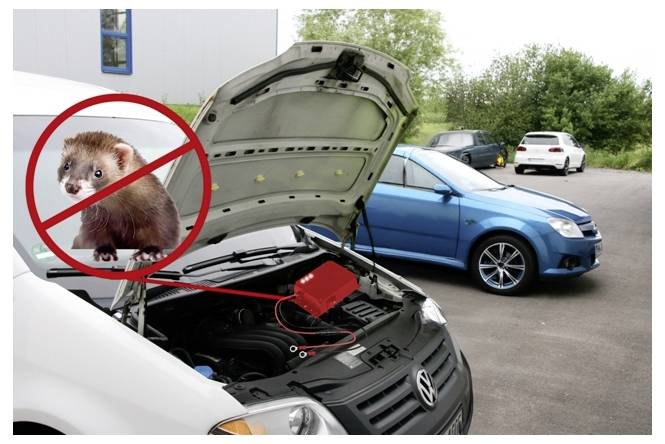 Ein Auto mit offener Motorhaube, die Motorteile zeigt, mit einer Überlagerung eines durchgestrichenen Frettchens, das ein Abwehrgerät gegen Frettchen anzeigt. Zwei Autos sind in der Nähe geparkt.