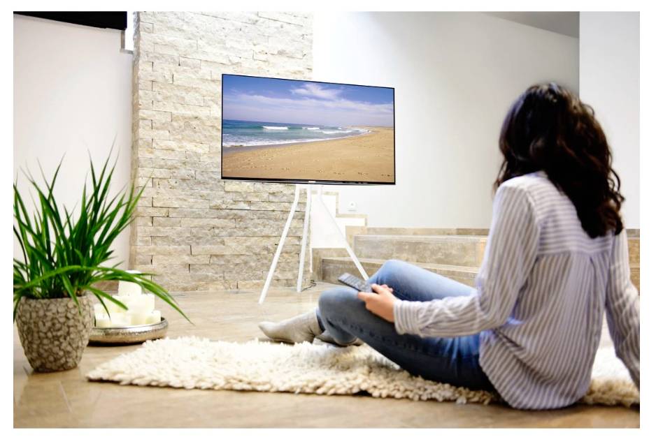 Hama TV-Ständer, Staffelei freistehend, höhenverstellbar, 191cm (75") bis 40kg TV-Standfuß 190,5cm (75")