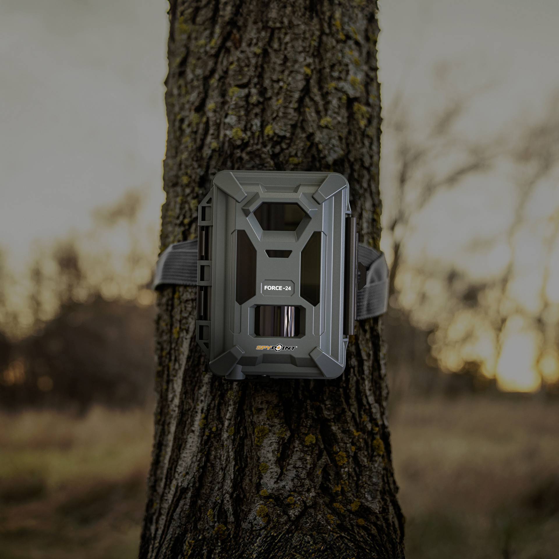 Spypoint Wildkamera 24 Megapixel Low-Glow-LEDs Anthracite Black