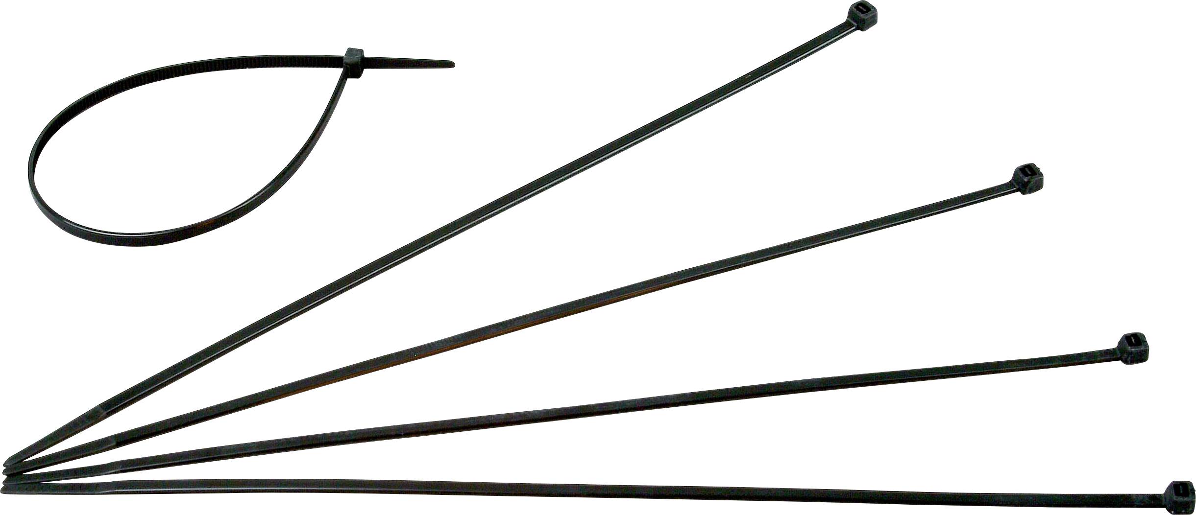 Kopp 328404090 Kabelbinder 300 mm 4.8 mm Schwarz Witterungsstabil 50 St.