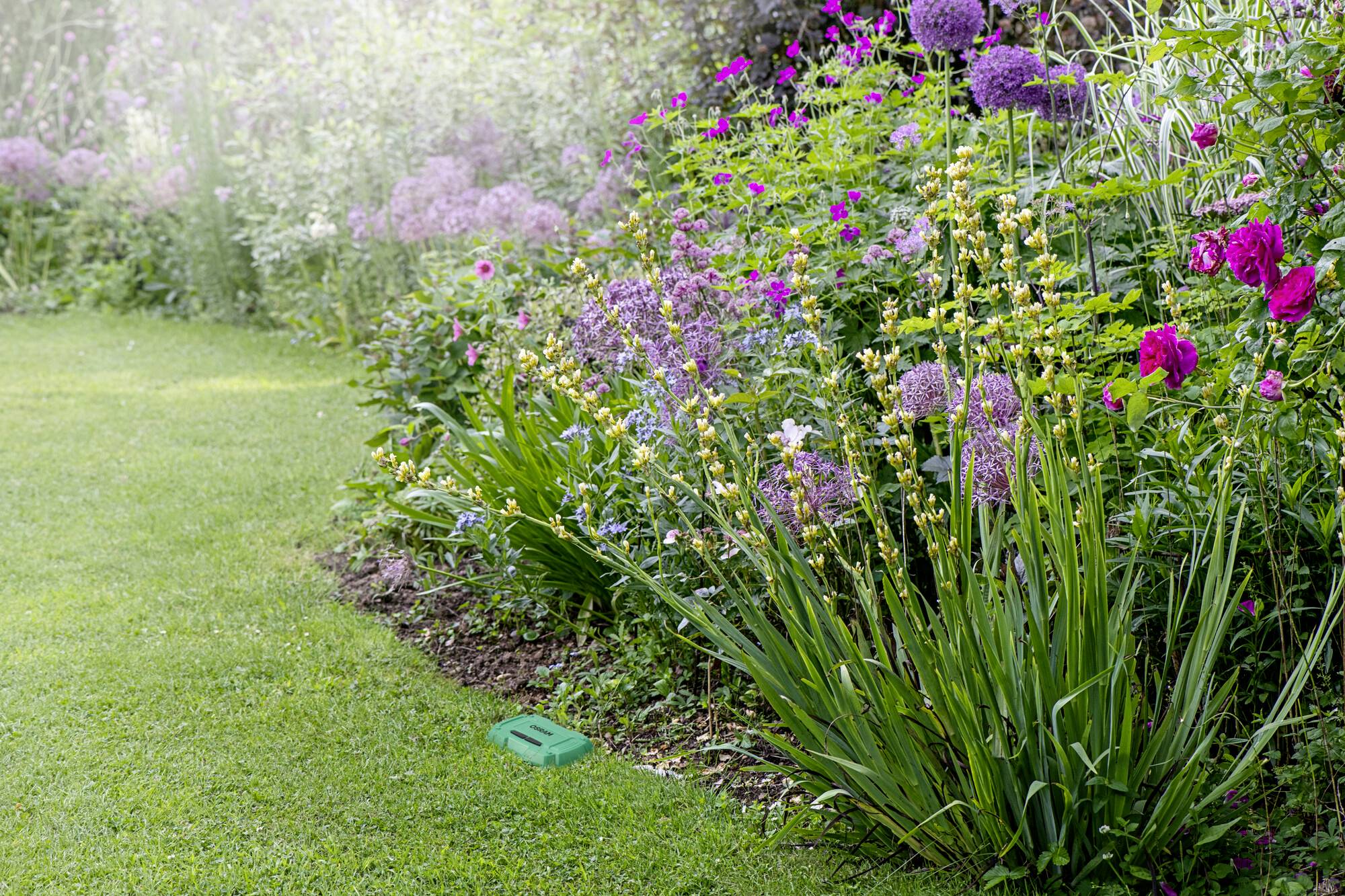 OSRAM HOMELIGHTING Smart+ Funk-Bewässerungssteuerung