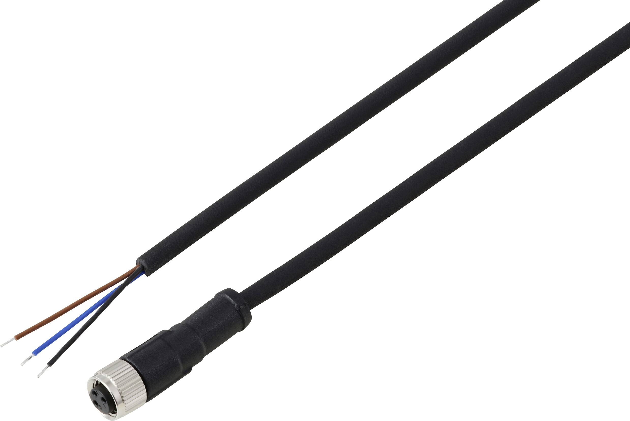 Ein schwarzes Kabel mit einem Anschluss an einem Ende und vier freigelegten Drähten am anderen Ende: schwarz, blau, weiß und braun.