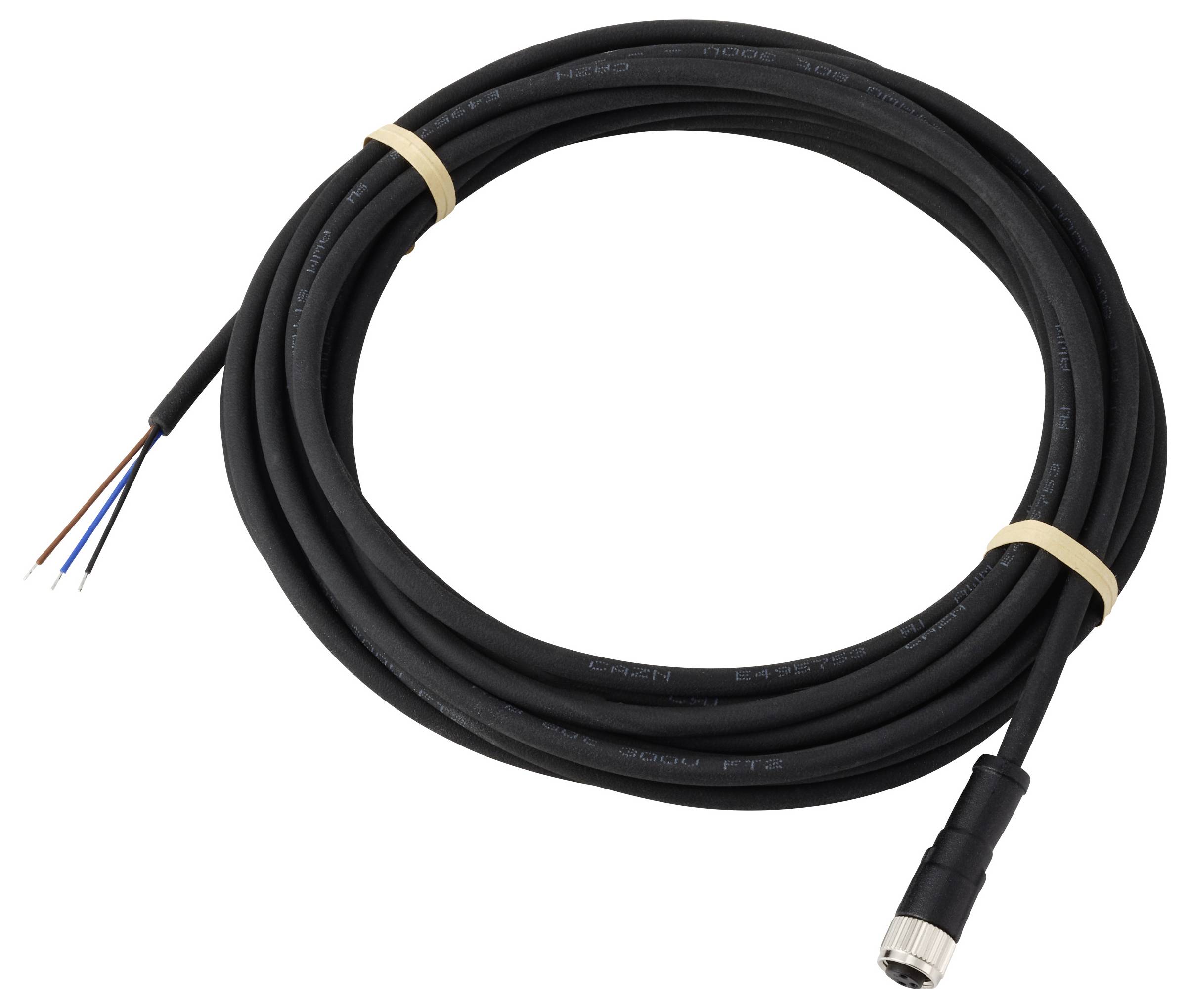 Ein aufgewickeltes schwarzes Kabel mit einem Anschluss an einem Ende und vier freiliegenden Leitungen (rot, blau, weiß und schwarz) am anderen Ende.