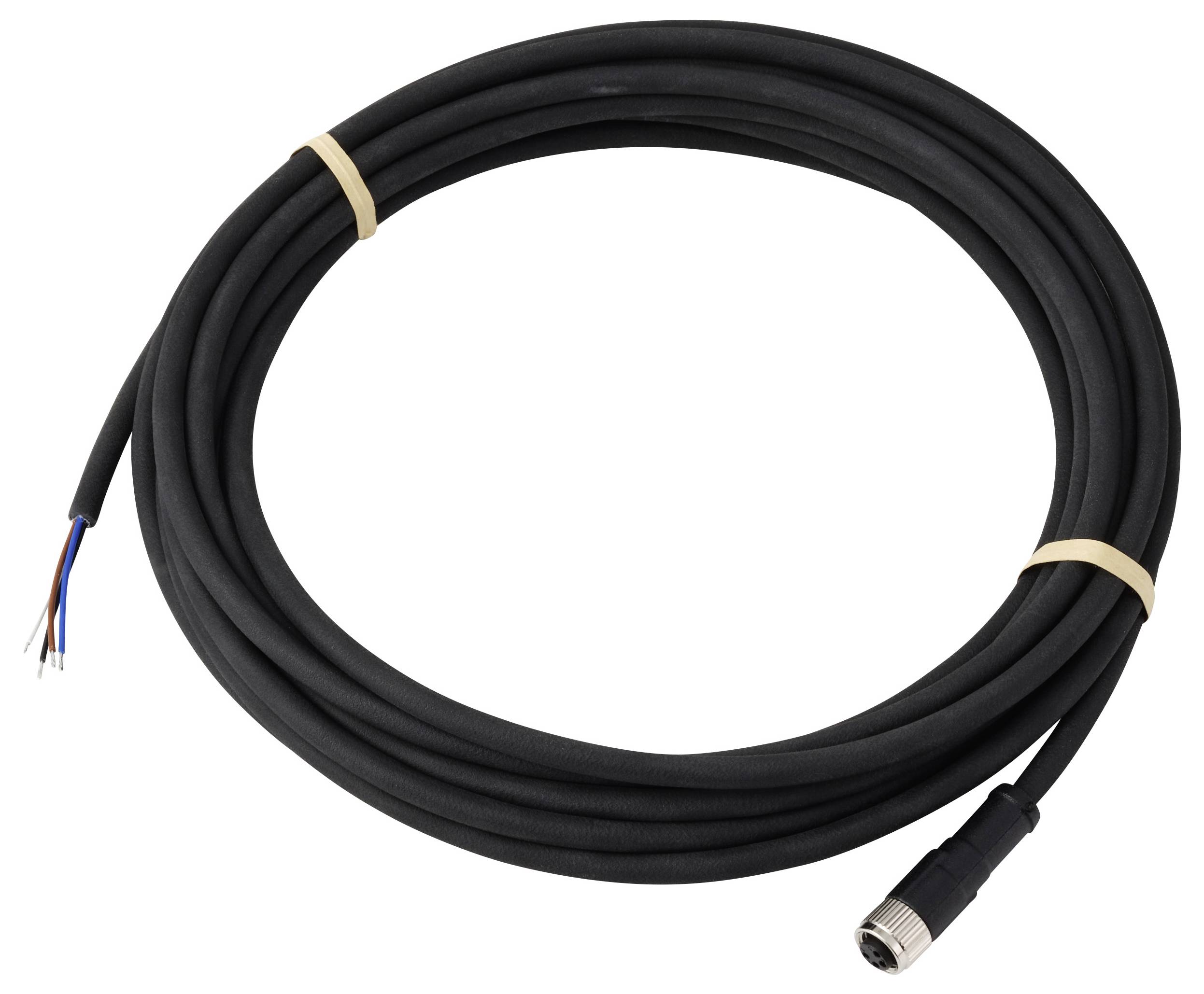 Ein aufgewickeltes schwarzes elektrisches Kabel mit drei freiliegenden Drähten an einem Ende und einem Metallstecker am anderen Ende, gesichert mit Gummibändern.