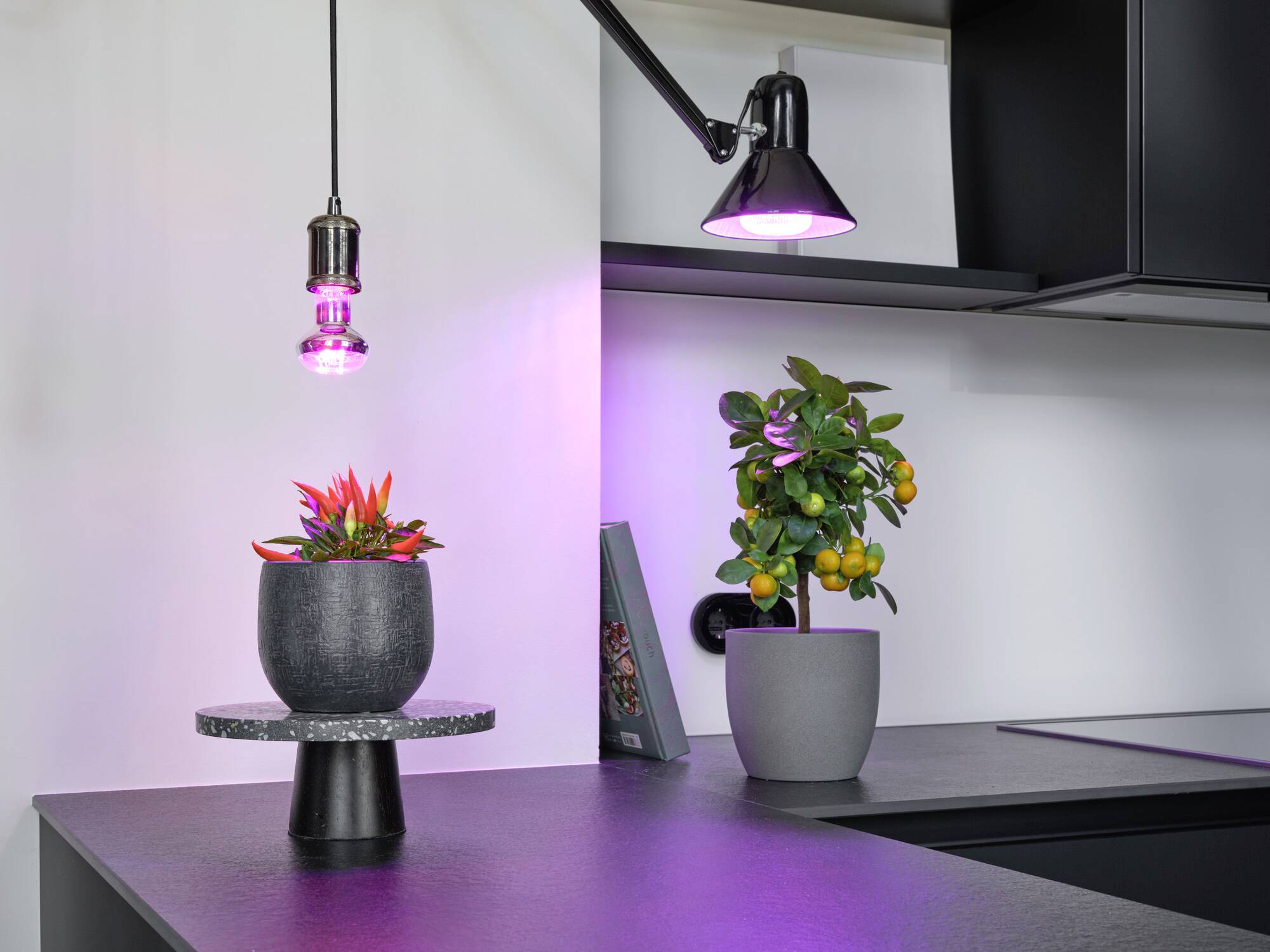 OSRAM HOMELIGHTING 4058075845787Pflanzenlampe E27 10W 1St.