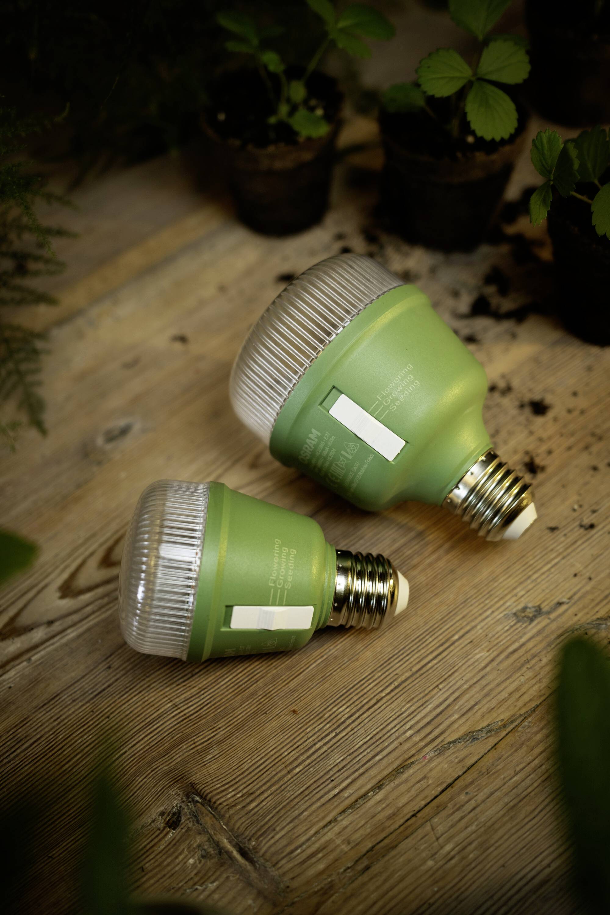 OSRAM HOMELIGHTING 4058075845787Pflanzenlampe E27 10W 1St.