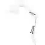 OSRAM HOMELIGHTING Office Line Desk Pear Clip E27 White 4099854464669 Klemmleuchte Weiß OSRAM HOMELIGHTING Office Line Desk Pear Clip E27 White 4099854464669 Klemmleuchte Weiß