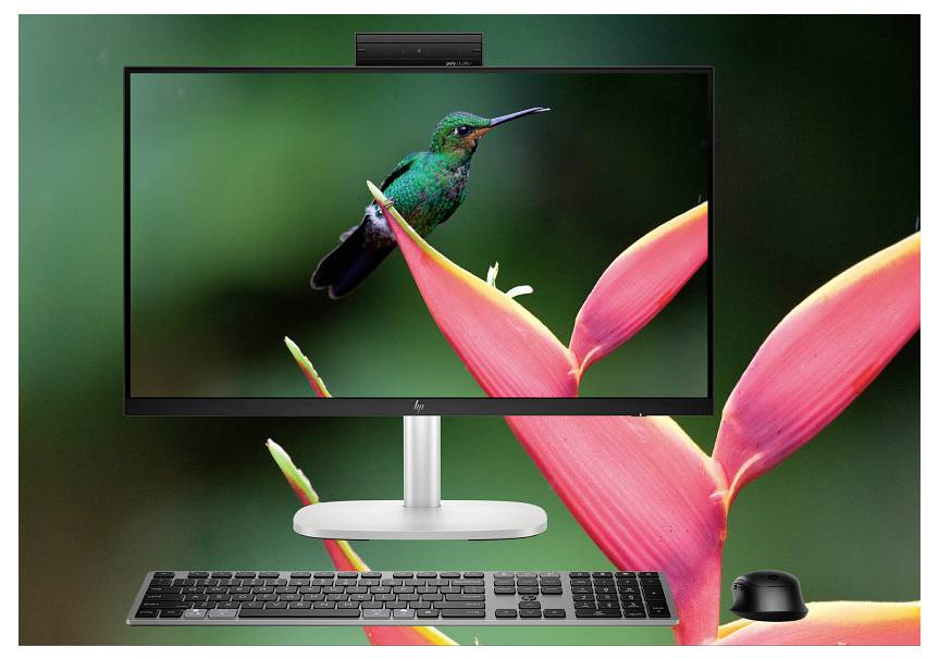 Ein Computermonitor, der ein leuchtendes Bild eines grünen Kolibris zeigt, der auf einer bunten Blume sitzt, mit einer Tastatur und einer Maus davor.