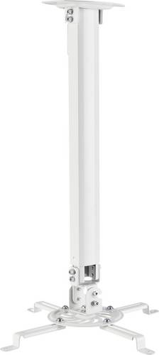 Reflecta Prometheus Beamer-Deckenhalterung Deckenhalter, Drehbar, Neigbar Boden-/Deckenabstand