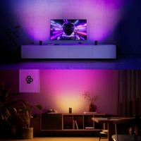 Philips Hue Tischleuchte 8720169385993 Play Wallwasher, Doppelpack, schwarz LED 20 W Philips Hue Tischleuchte 8720169385993 Play Wallwasher, Doppelpack, schwarz LED 20 W