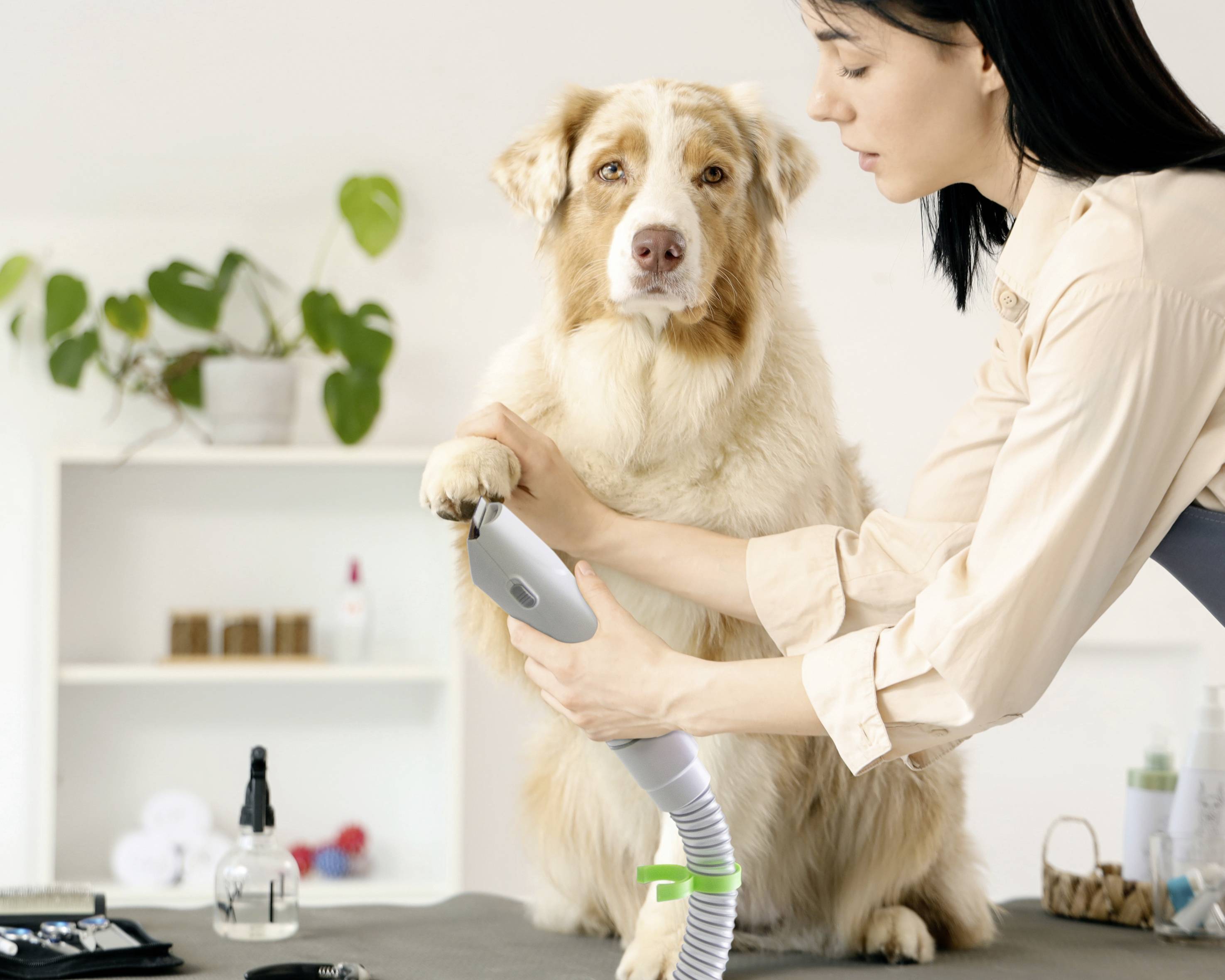 Lifenaxx LX-052 Haustier-Pflegeset Weiß, Grün 1St.