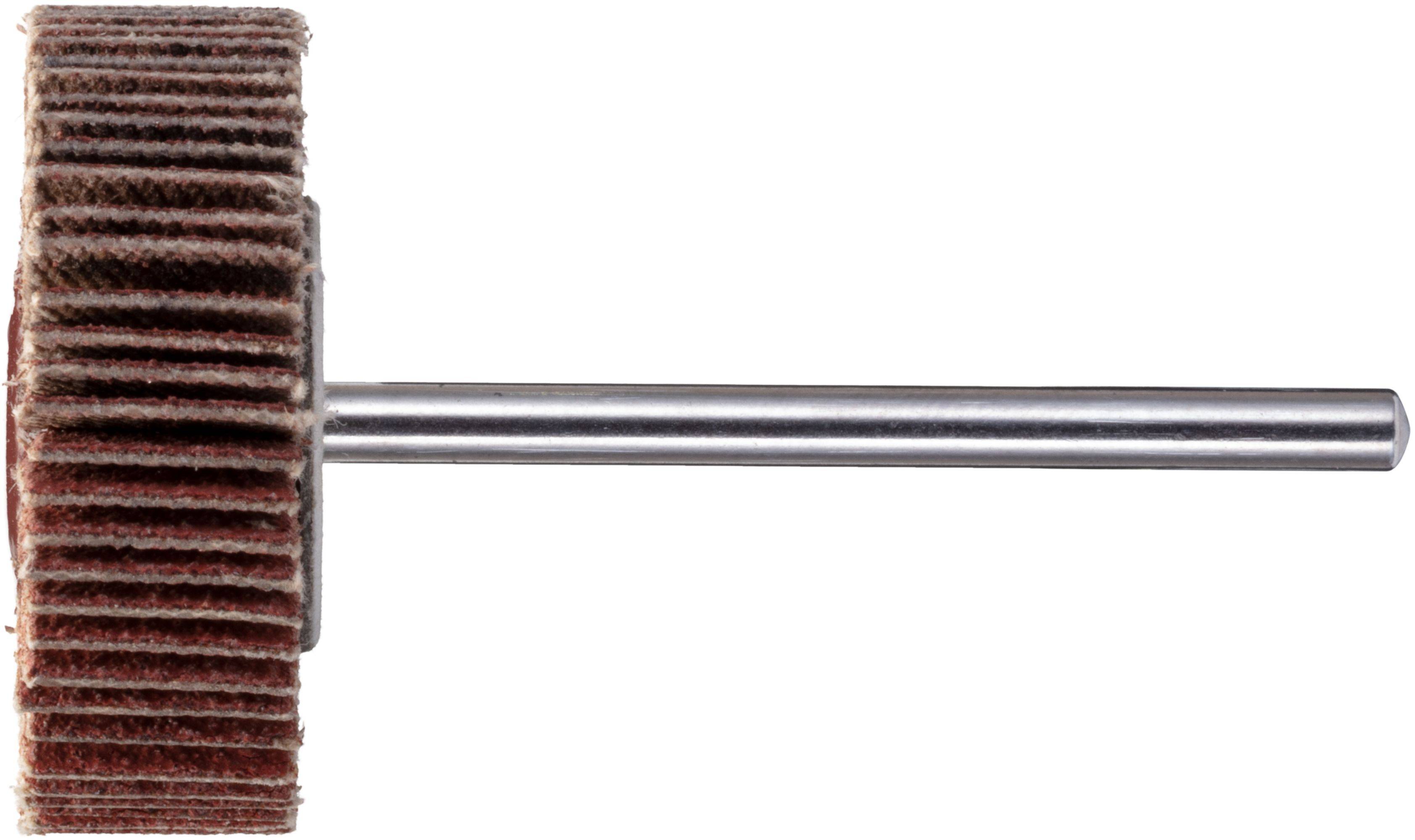 LUKAS-ERZETT A2201030103120 Fächerschleifer SFE universal 30x10mm Schaft 6mm Korund Korn 120 10St.