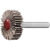 LUKAS-ERZETT A2202030106150 Fächerschleifer SFC für Alu / Holz 30x10mm Schaft 6mm Siliciumcarbid Korn 150 10St. LUKAS-ERZETT A2202030106150 Fächerschleifer SFC für Alu / Holz 30x10mm Schaft 6mm Siliciumcarbid Korn 150 10St.