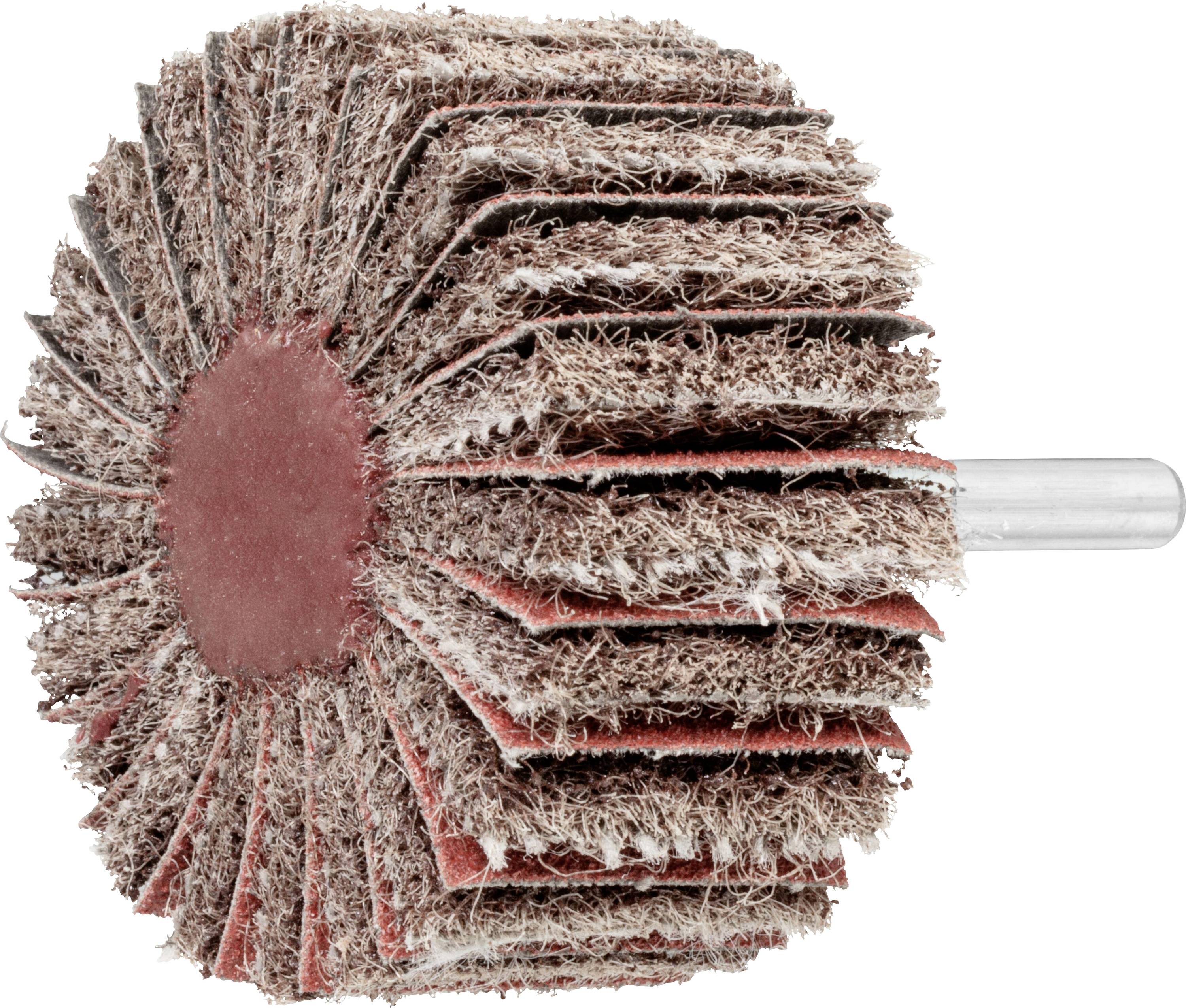 LUKAS-ERZETT A2204060306120 Fächerschleifer SFM universal 60x30mm Schaft 6mm Korund Korn 120/80 10St.