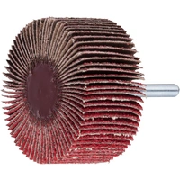 LUKAS-ERZETT A2214030106080 Fächerschleifer SFL universal 30x10mm Schaft 6mm Ceramic Korn 80 10St. LUKAS-ERZETT A2214030106080 Fächerschleifer SFL universal 30x10mm Schaft 6mm Ceramic Korn 80 10St.