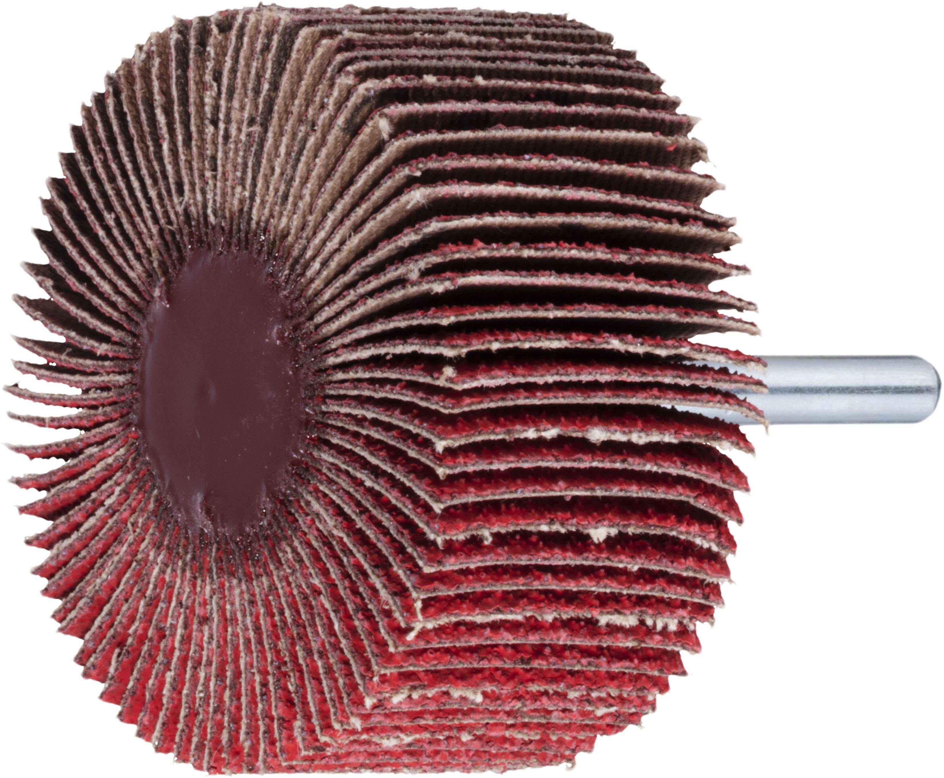 LUKAS-ERZETT A2214060306080 Fächerschleifer SFL universal 60x30mm Schaft 6mm Ceramic Korn 80 10St.