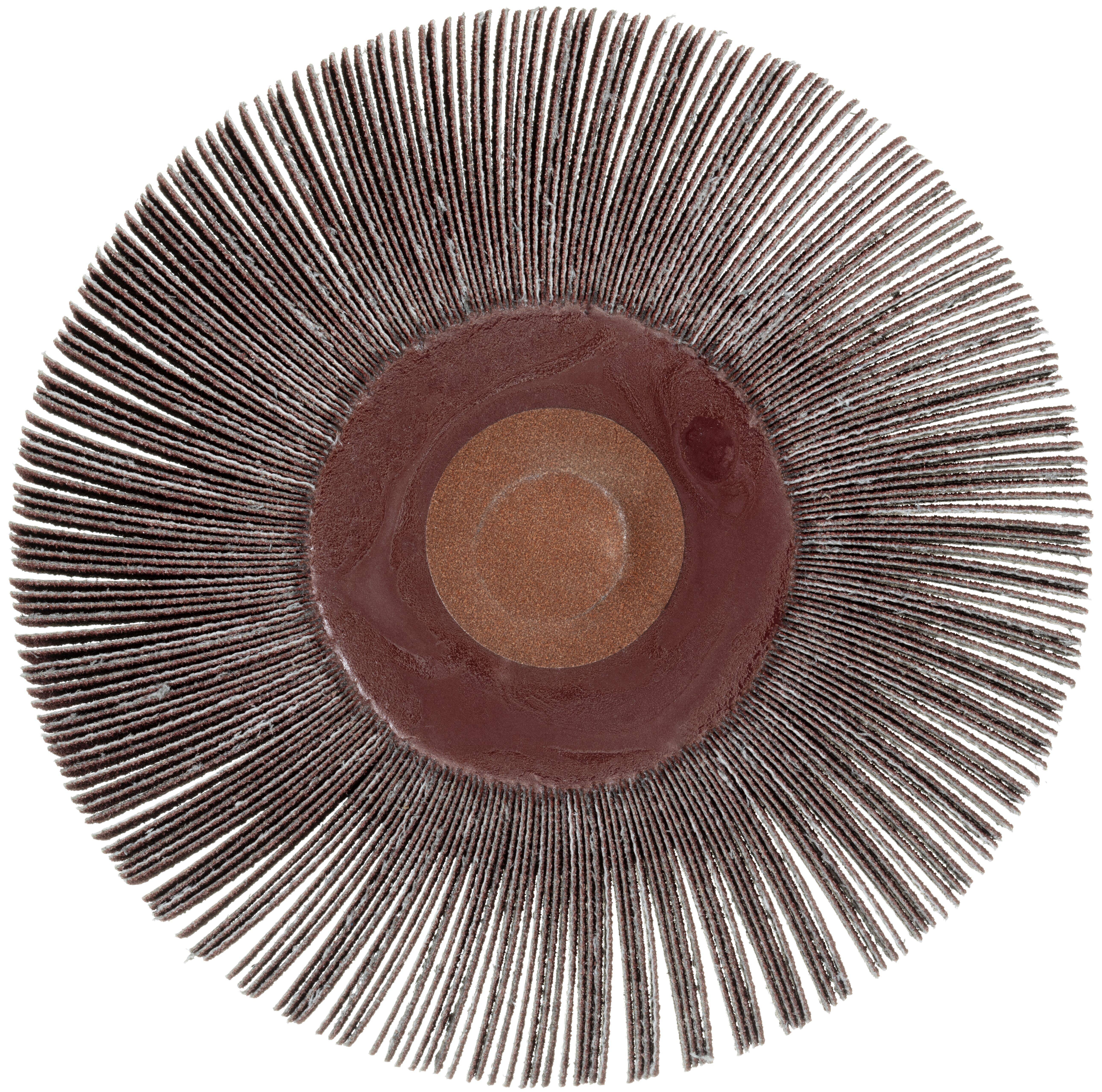 Eine Nahaufnahme eines runden, stacheligen Objekts, das einem Meereslebewesen ähnelt, mit von einem kreisförmigen Zentrum ausgehenden Stacheln, die ein Muster bilden.