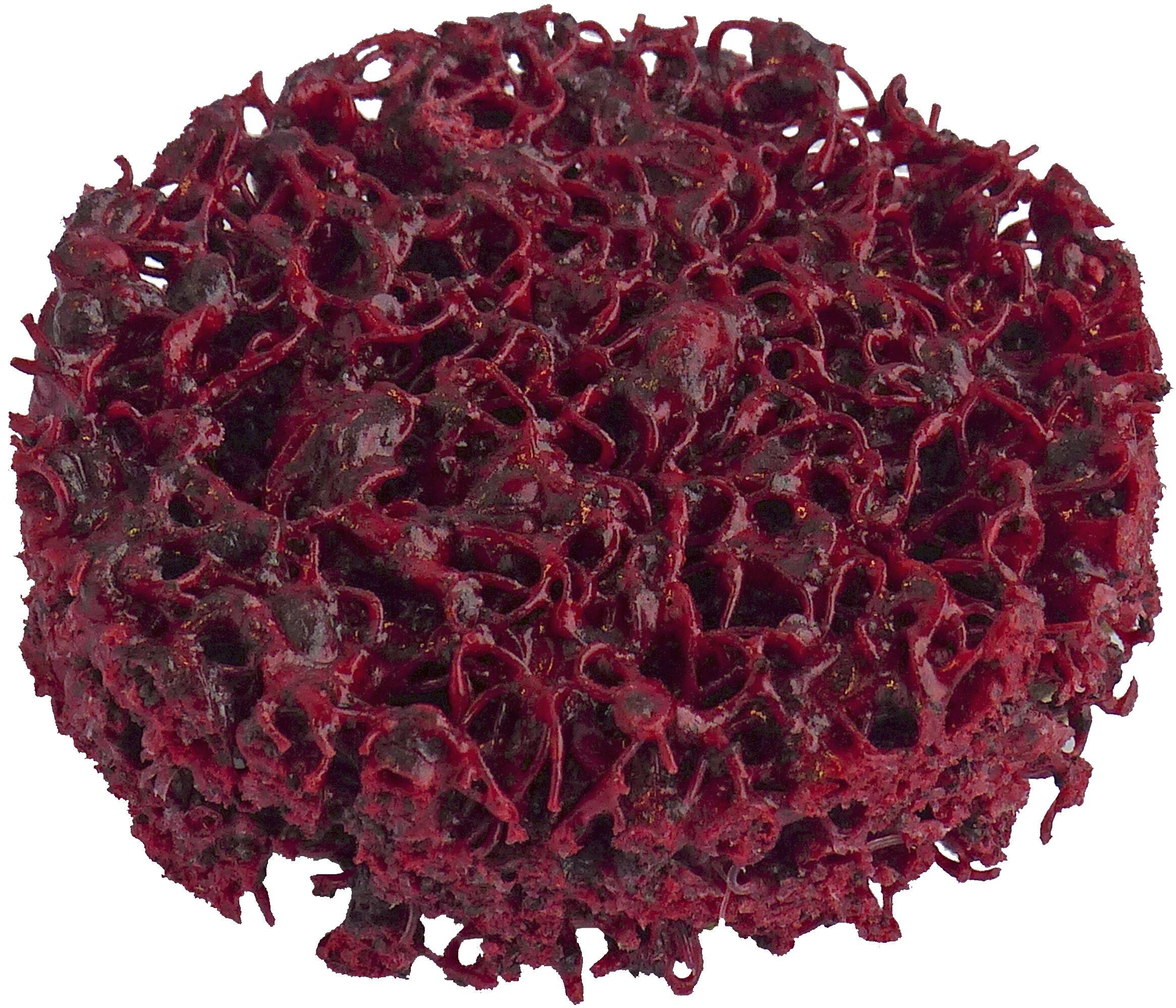 Ein dunkelroter, runder Gegenstand mit einer spitzenartigen, porösen Textur, ähnlich einem Stück Koralle oder einem Schwamm.