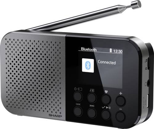 Sharp Outdoorradio FM, DAB Bluetooth® Akku-Ladefunktion, Fühlbare Tasten Schwarz