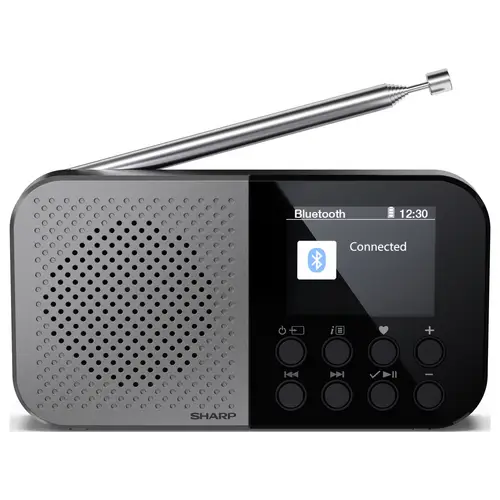 Sharp Outdoorradio FM, DAB Bluetooth® Akku-Ladefunktion, Fühlbare Tasten Schwarz Sharp Outdoorradio FM, DAB Bluetooth® Akku-Ladefunktion, Fühlbare Tasten Schwarz