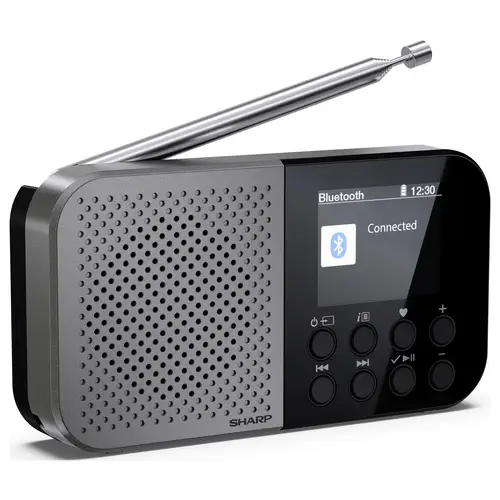 Sharp Outdoorradio FM, DAB Bluetooth® Akku-Ladefunktion, Fühlbare Tasten Schwarz Sharp Outdoorradio FM, DAB Bluetooth® Akku-Ladefunktion, Fühlbare Tasten Schwarz