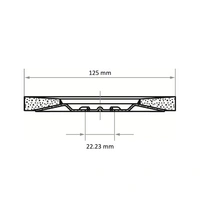 LUKAS-ERZETT A27201250400045A Fächerschleifscheibe Durchmesser 125 mm Bohrungs-Ø 22.23 mm 10 St. LUKAS-ERZETT A27201250400045A Fächerschleifscheibe Durchmesser 125 mm Bohrungs-Ø 22.23 mm 10 St.