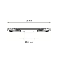 LUKAS-ERZETT A27441250601445 Fächerschleifscheibe Durchmesser 125mm Bohrungs-Ø 22.23mm 10St. LUKAS-ERZETT A27441250601445 Fächerschleifscheibe Durchmesser 125mm Bohrungs-Ø 22.23mm 10St.