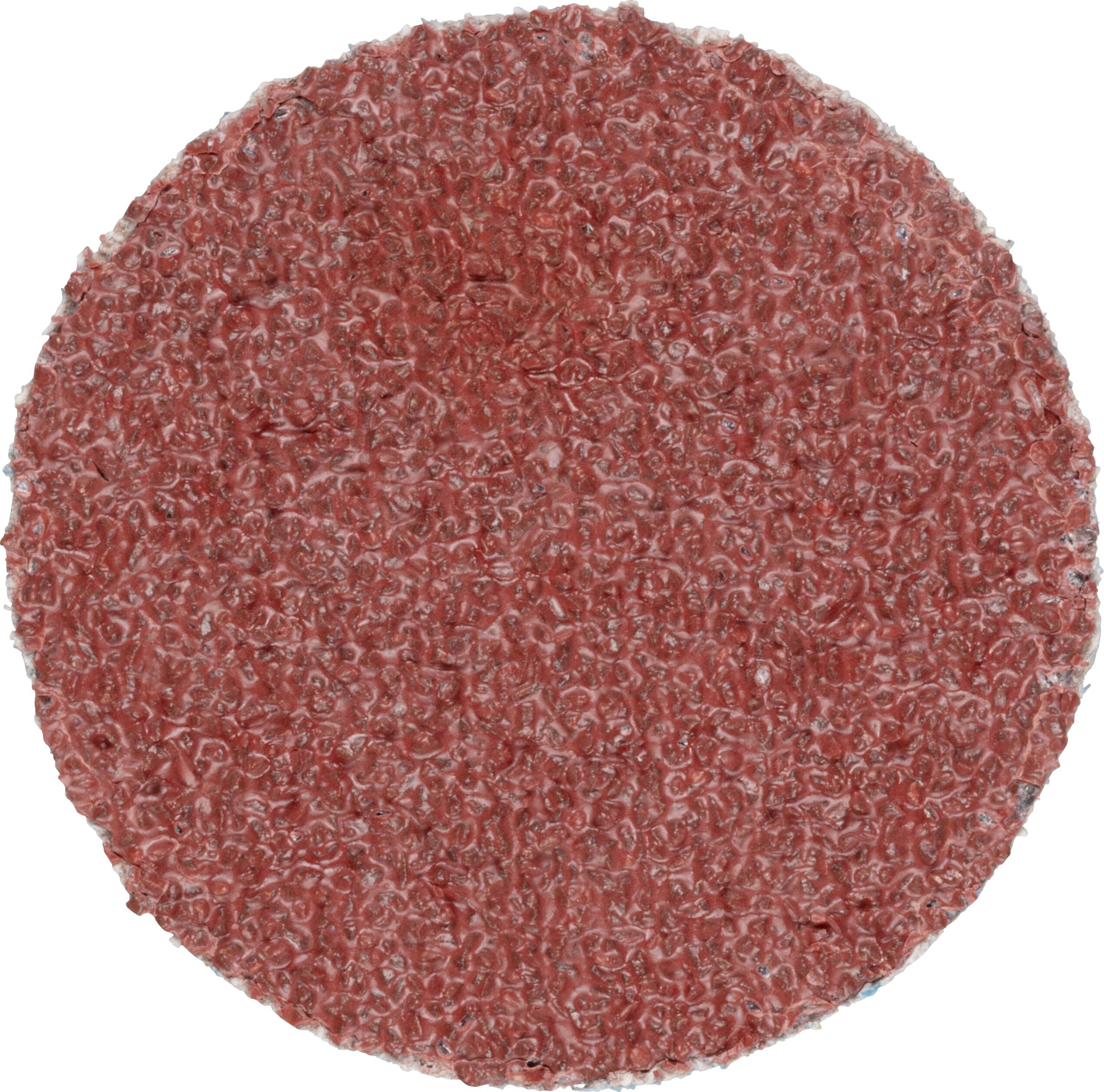 LUKAS-ERZETT PSG 038 NK 36 A33510380360458 Schleifblatt Körnung (num) 36 (Ø) 38mm 50St.