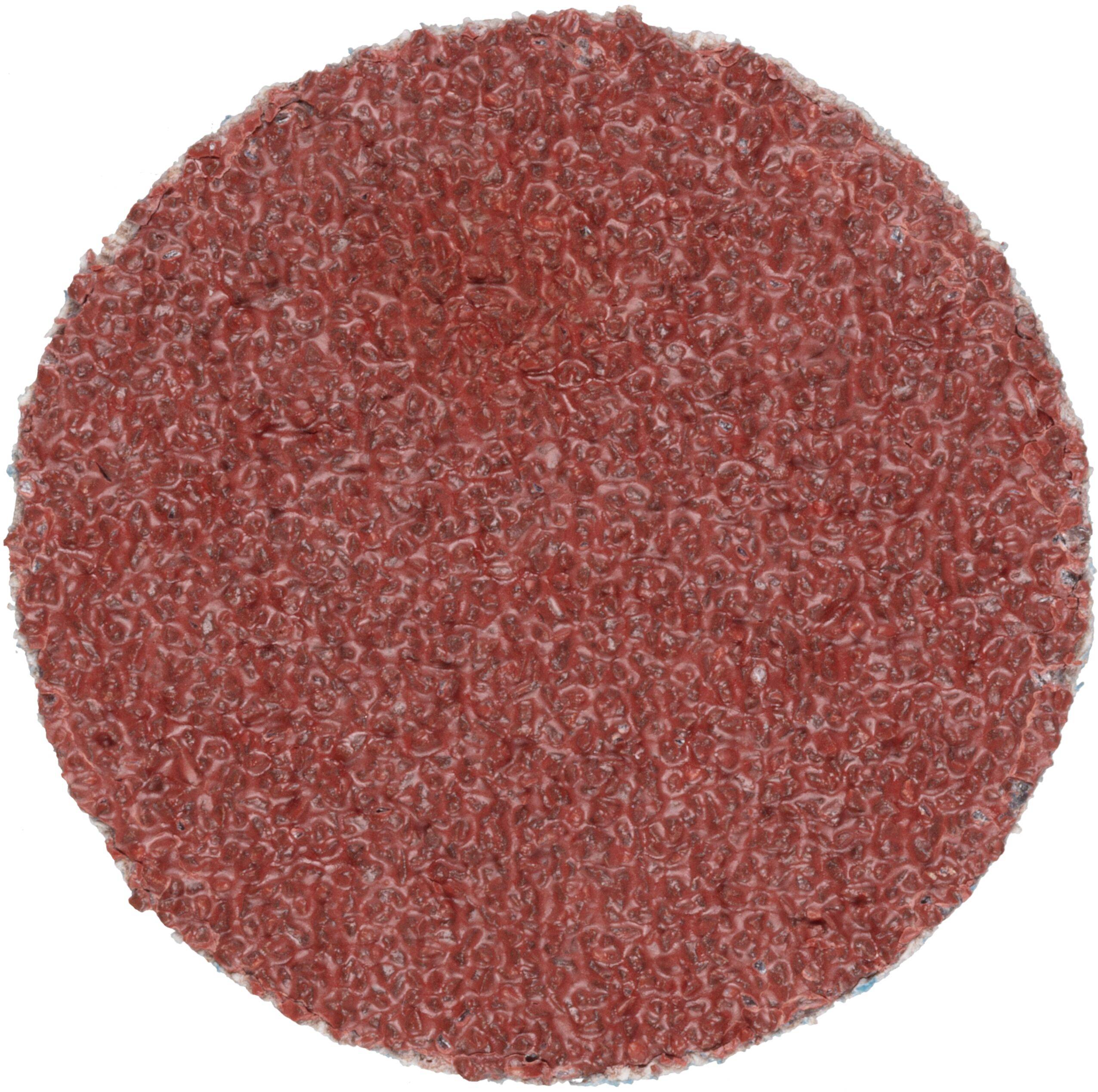 LUKAS-ERZETT PSG 050 NK 36 A33510500360458 Schleifblatt Körnung (num) 36 (Ø) 50mm 50St.