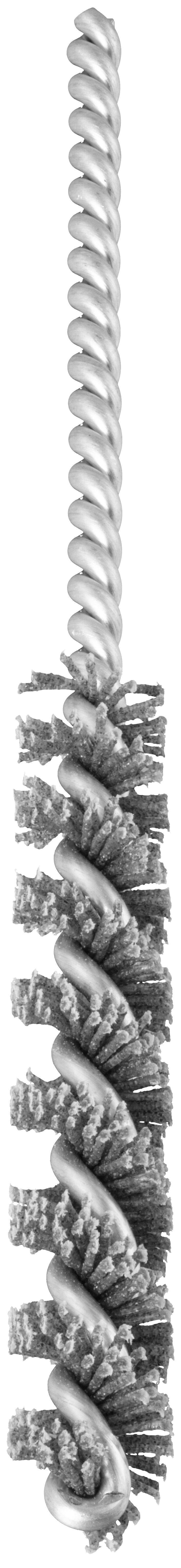 LUKAS-ERZETT Rohrbürste RBSN universal 10x65mm für Bohrmaschinen aus Nylon RBSN 1065 SIC 120 A359901065120 10St.