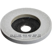 LUKAS-ERZETT A671611512014 Polierteller P6PT Ø 115mm fein | Korn 120 | für Winkelschleifer flach Kompaktkorn LUKAS-ERZETT A671611512014 Polierteller P6PT Ø 115mm fein | Korn 120 | für Winkelschleifer flach Kompaktkorn