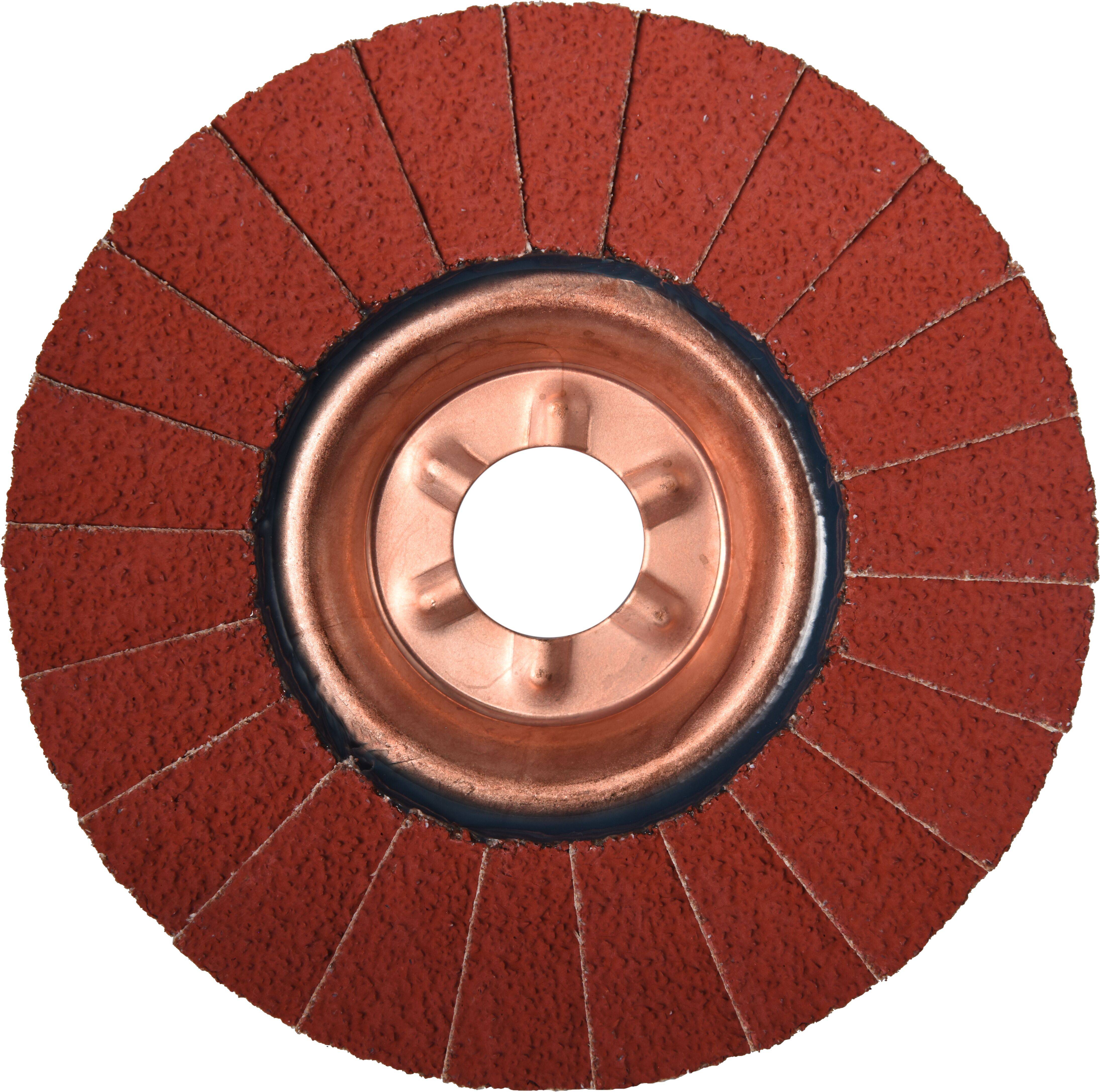 LUKAS-ERZETT A67201250360085 Fächerschleifscheibe Durchmesser 125mm Körnung (num)=36 10St.