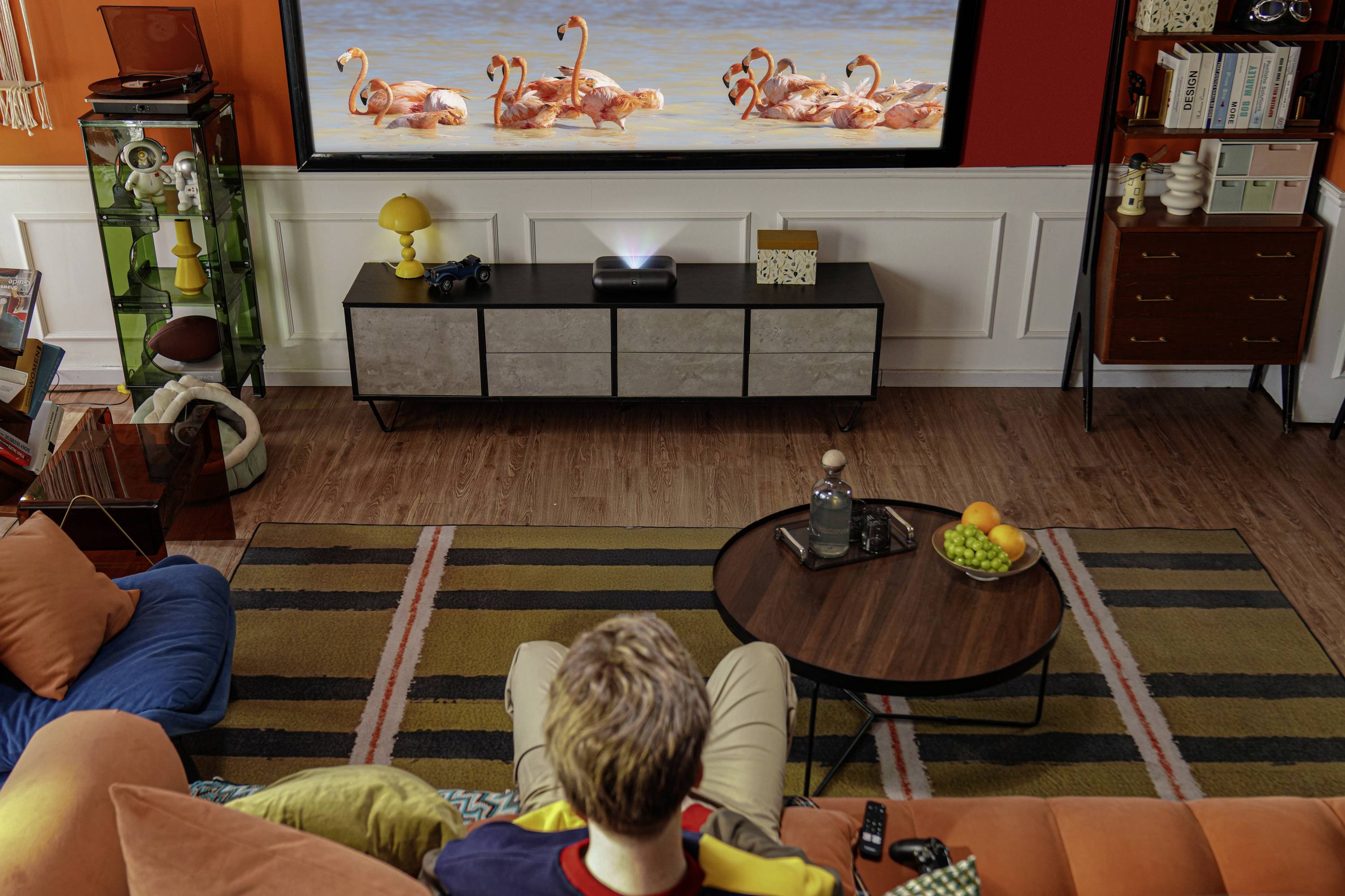 Eine Person sitzt auf einem bunten Sofa und beobachtet Flamingos auf einem großen Bildschirm in einem liebevoll eingerichteten Wohnzimmer mit Büchern, Pflanzen und gemütlicher Dekoration.
