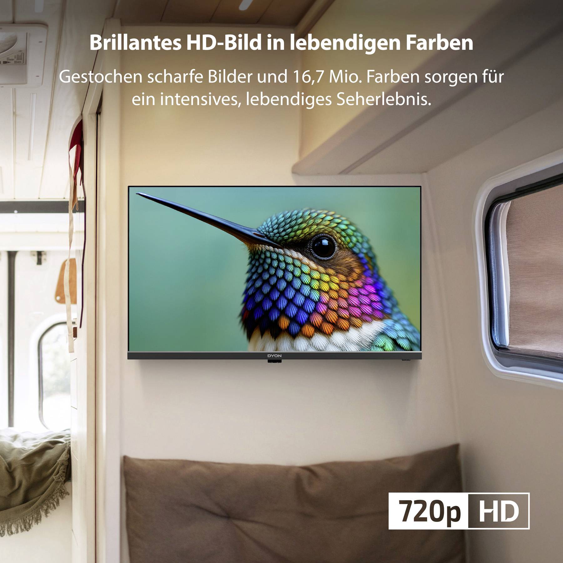 Dyon LED-TV EEK E (A - G) Schwarz