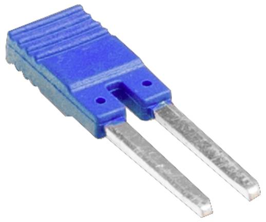 Ein Nahaufnahmebild eines blauen Thermoelement-Steckers mit zwei Metallzinken, der zum Anschließen von Thermoelement-Drähten bei Temperaturmessungen verwendet wird.