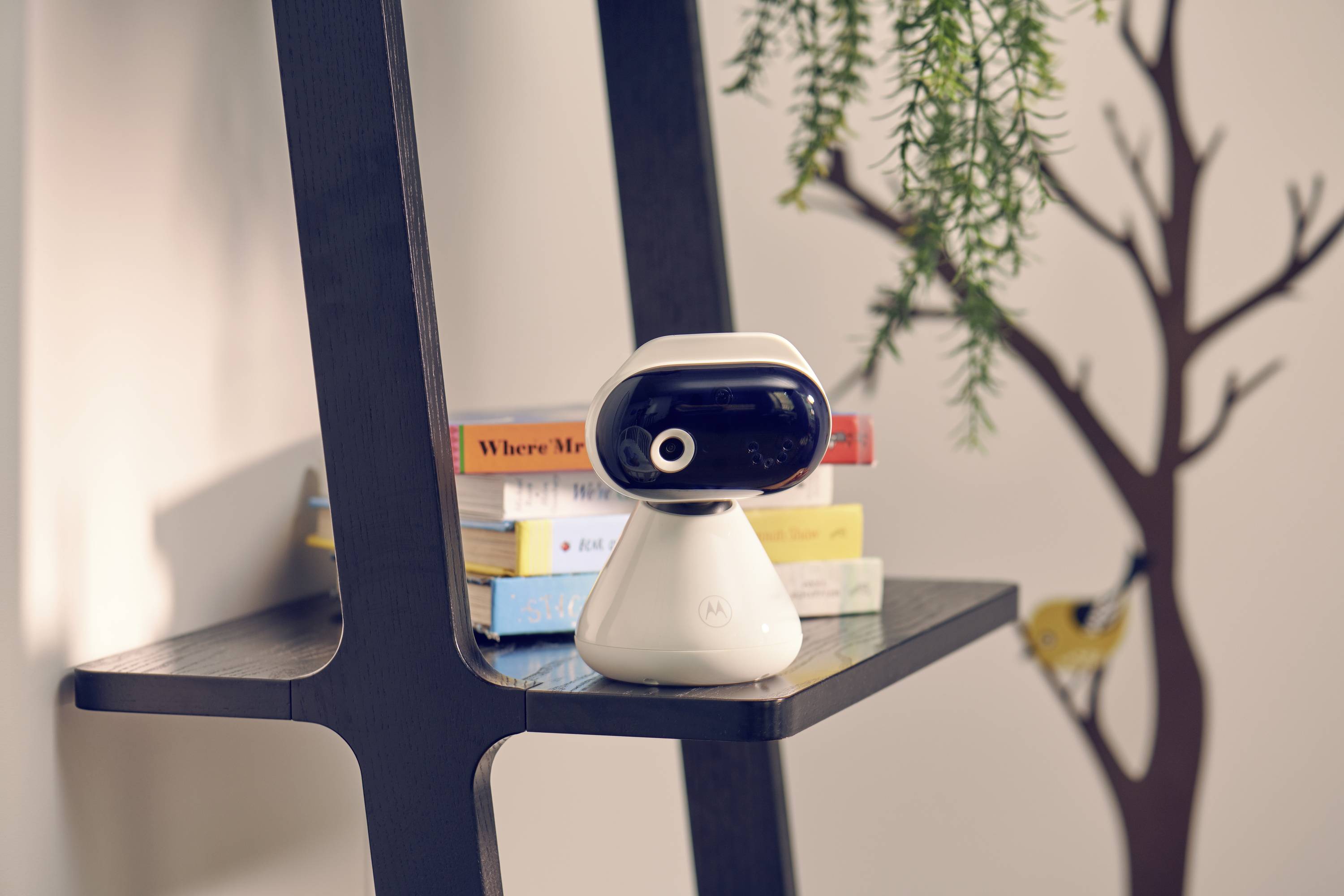 Eine kleine, futuristische Roboterkamera steht auf einem Holzregal neben einem Stapel bunter Bücher, mit einem Hintergrund aus einer Pflanze und einem Wandgemälde.