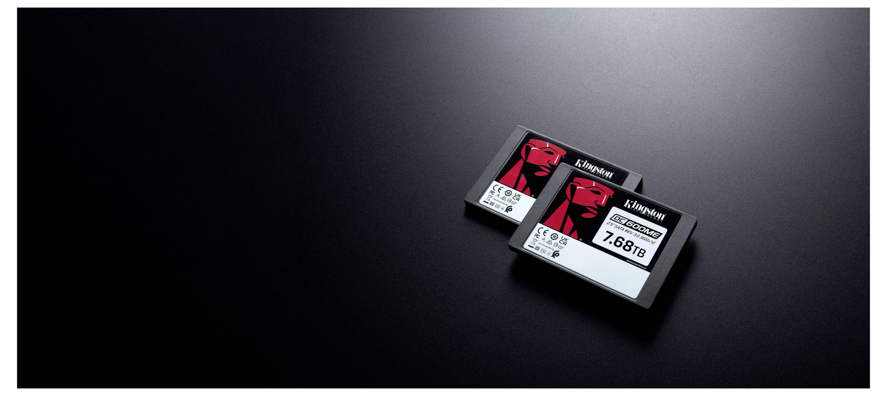 Zwei Kingston-Datenspeicherlaufwerke mit der Beschriftung 