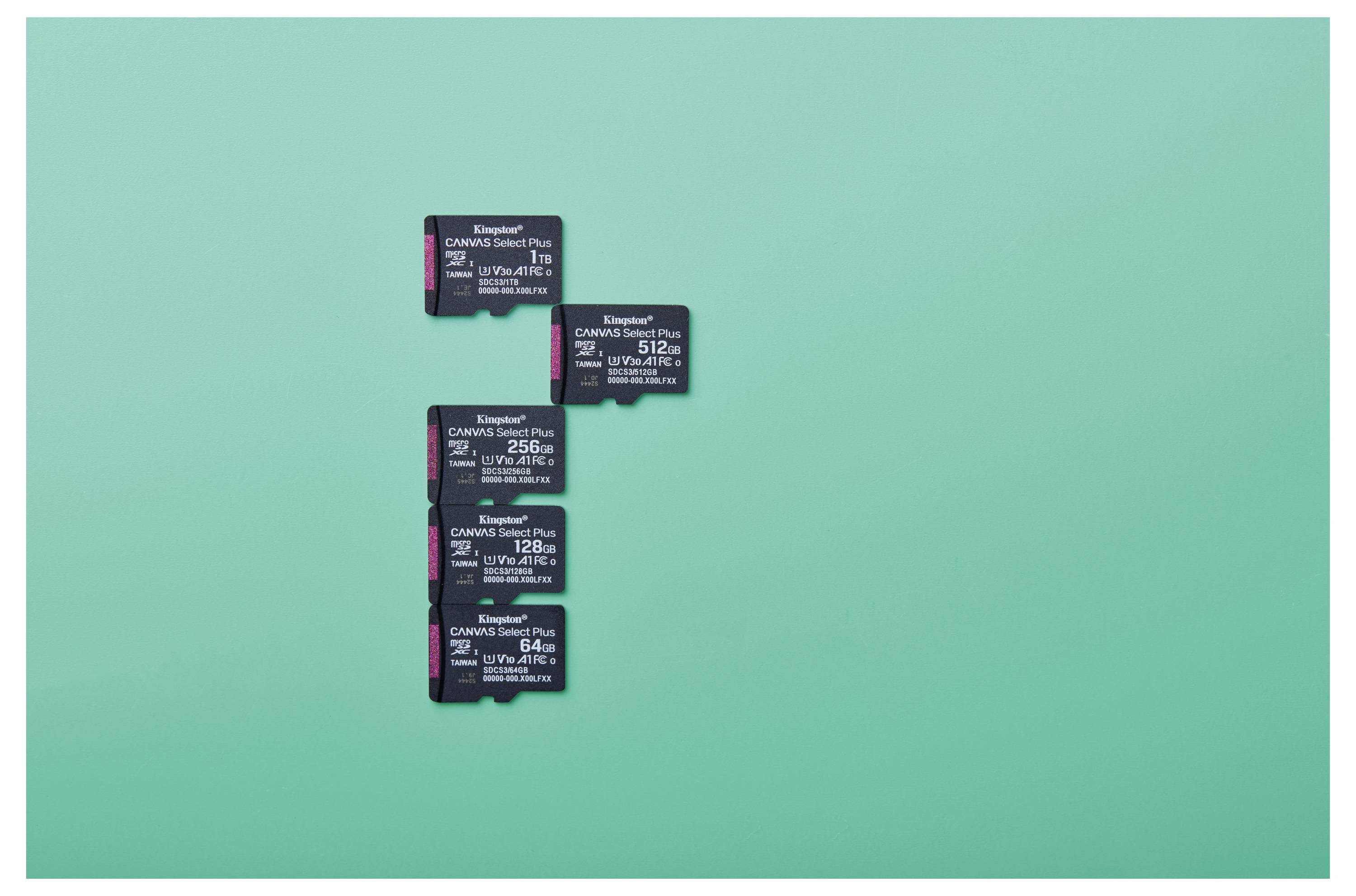 Kingston Canvas Select Plus microSDXC-Karte 128 GB Class 10 UHS-I