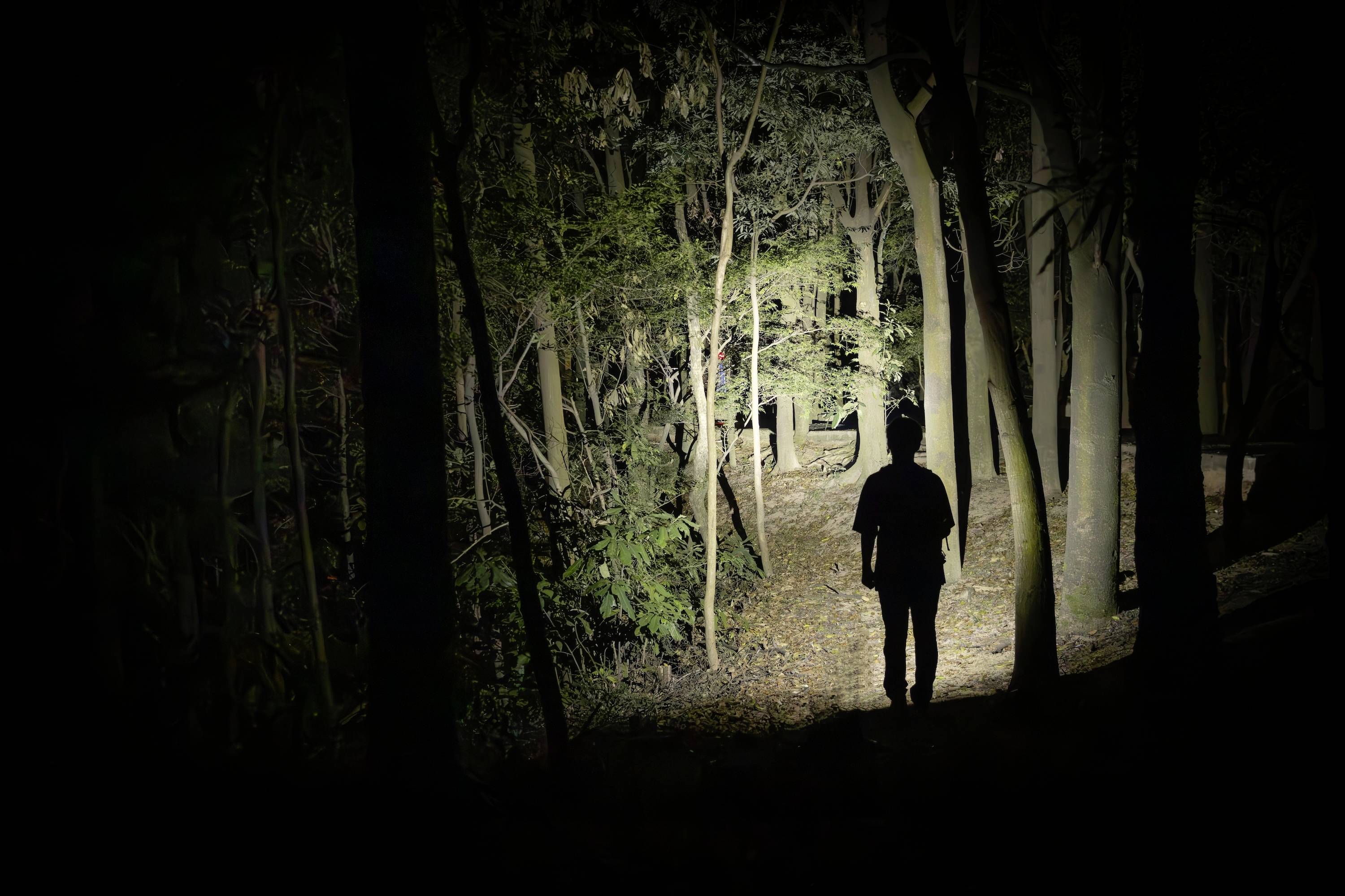 Eine Person geht nachts allein auf einem Waldweg, von einer Taschenlampe beleuchtet, wobei ein Kontrast zwischen dem Licht und der umgebenden Dunkelheit entsteht.