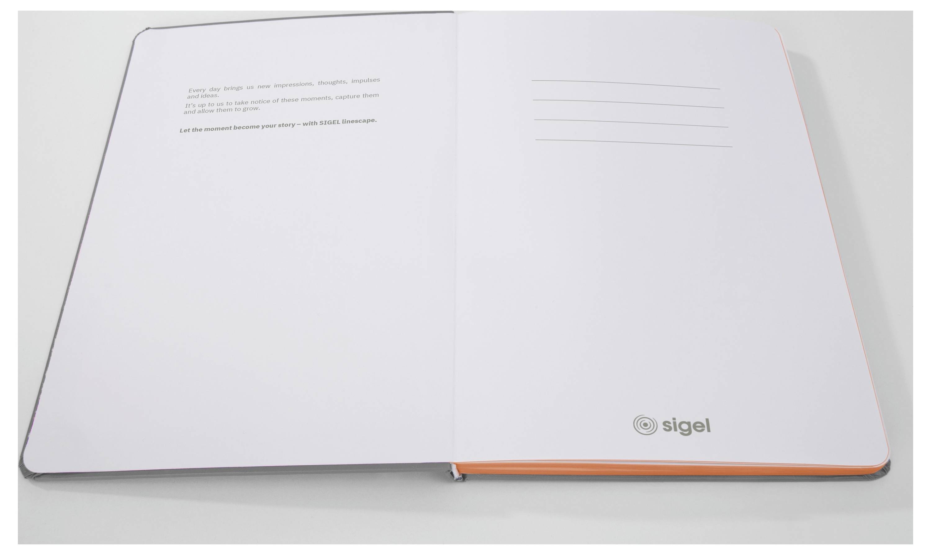 Sigel LS200 Notizbuch Linescape Hardcover DIN A5 kariert Hellgrau, Neonorange Anzahl der Blätter: 88