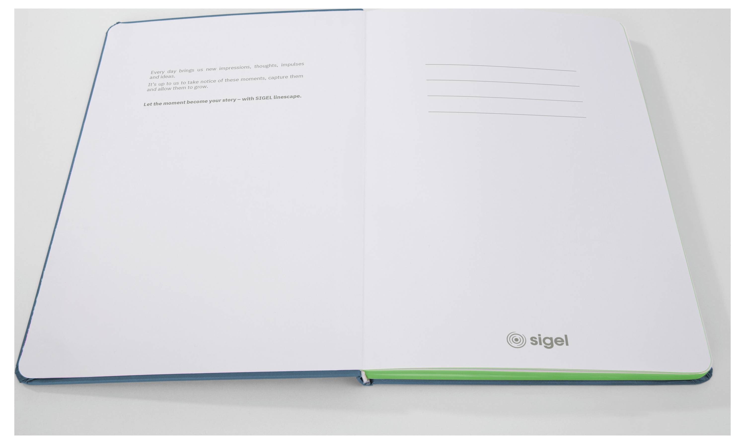 Sigel LS204 Notizbuch Linescape Hardcover DIN A5 kariert Mittelblau, Neongrün Anzahl der Blätter: 88