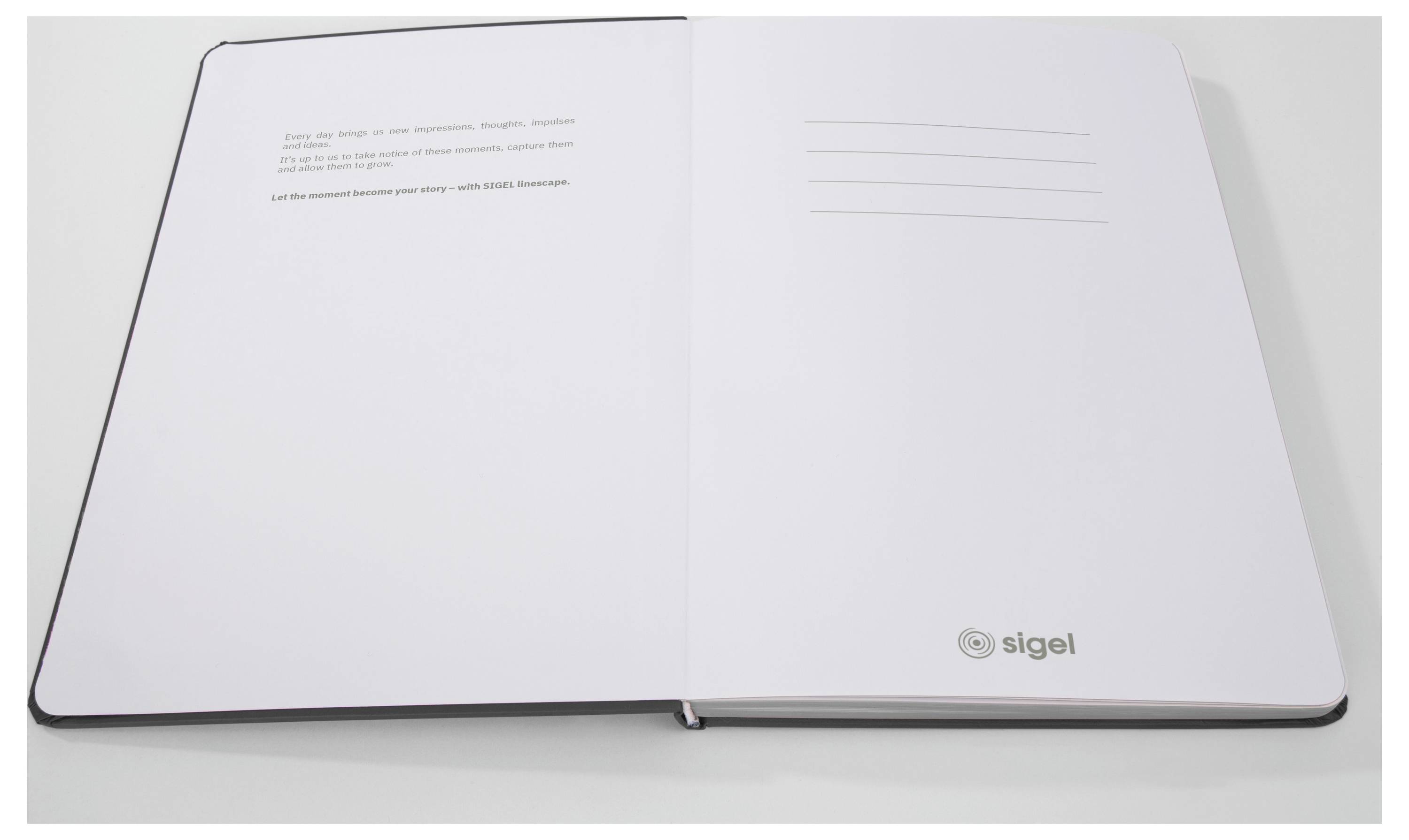 Sigel LS206 Notizbuch Linescape Hardcover DIN A5 kariert Dunkelgrau, Hellgrau Anzahl der Blätter: 88