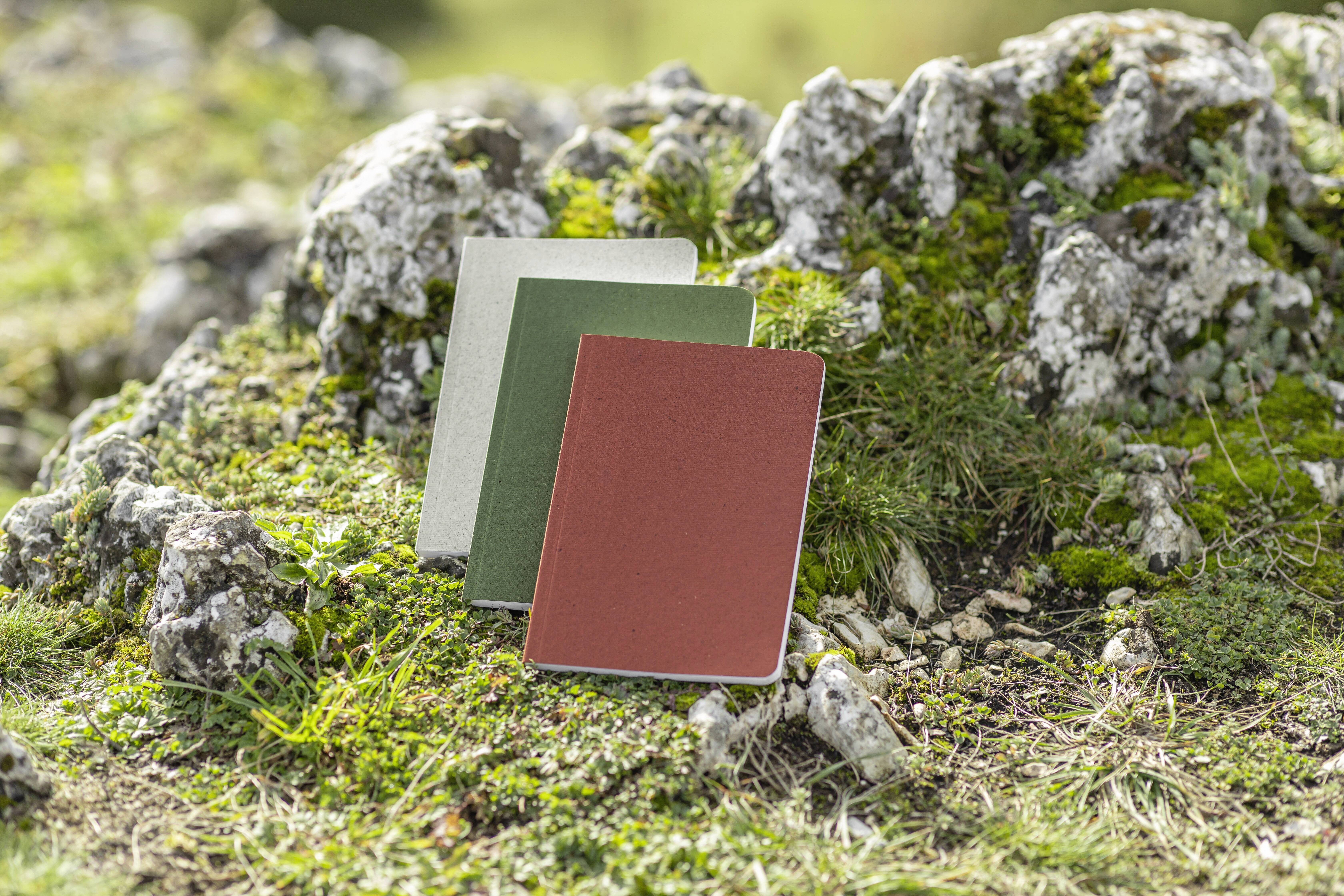 Sigel RU200 Notizbuch Re-Up Softcover DIN A5 kariert Kalkweiß Anzahl der Blätter: 50