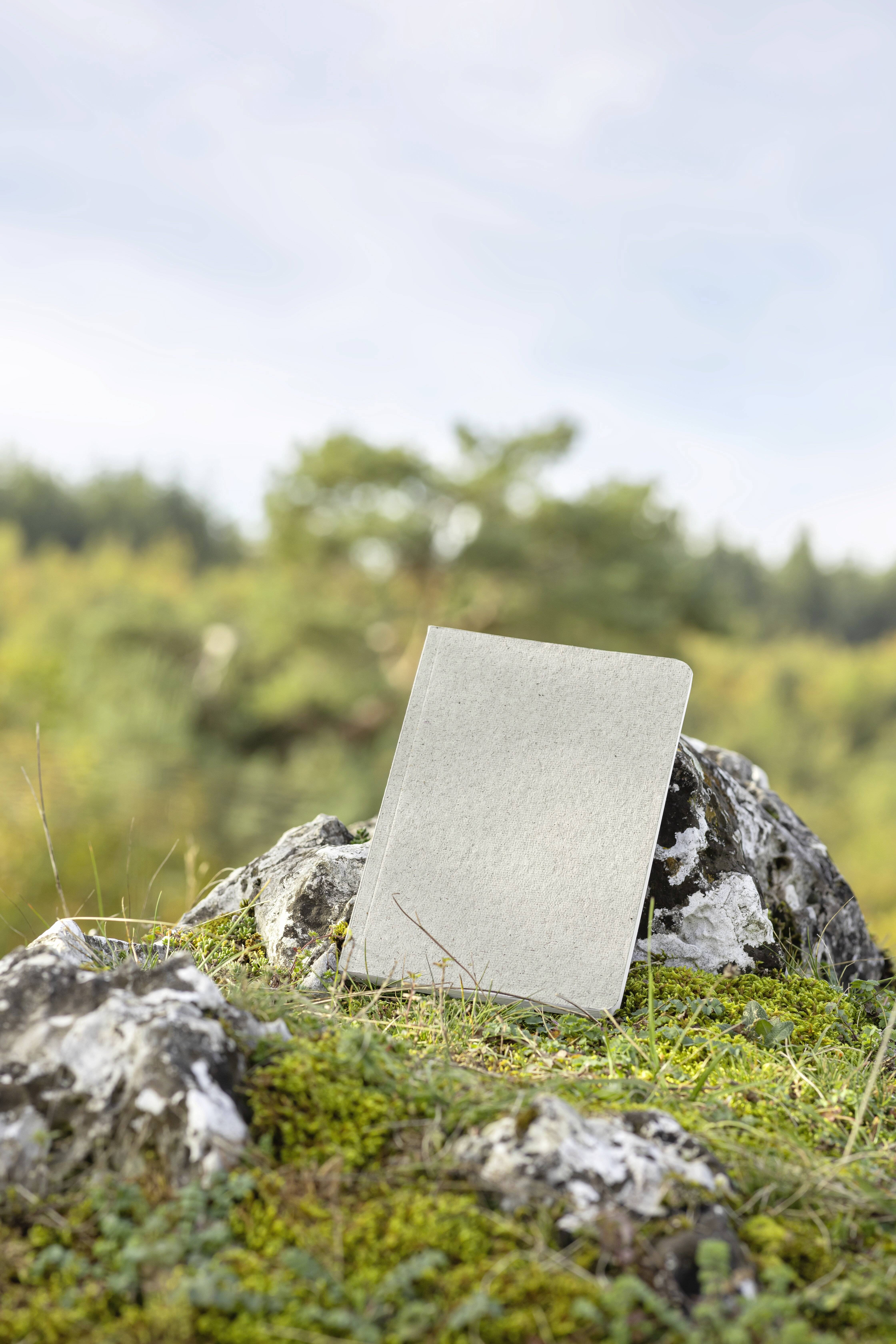 Sigel RU200 Notizbuch Re-Up Softcover DIN A5 kariert Kalkweiß Anzahl der Blätter: 50