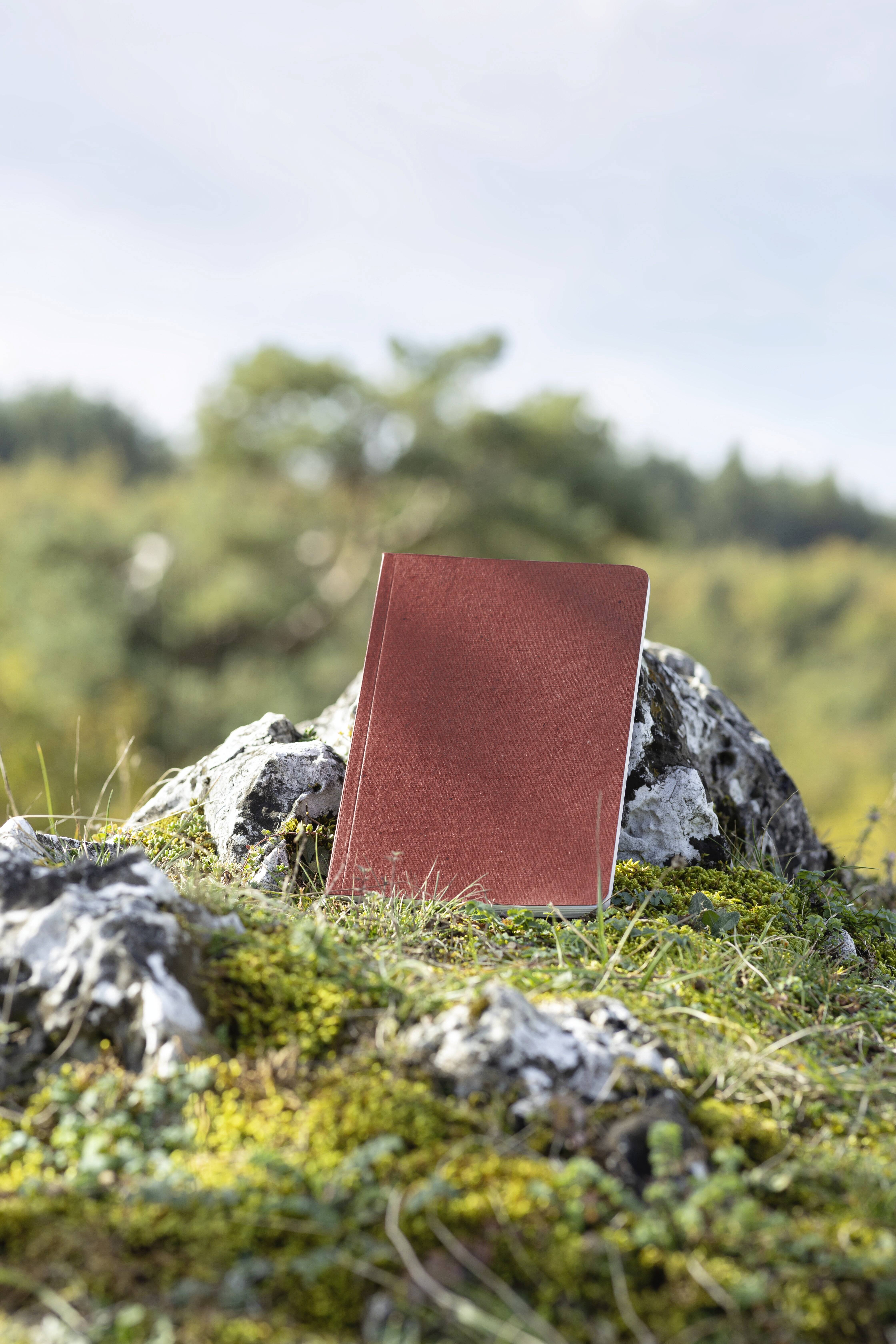 Sigel RU202 Notizbuch Re-Up Softcover DIN A5 kariert Rot Anzahl der Blätter: 50