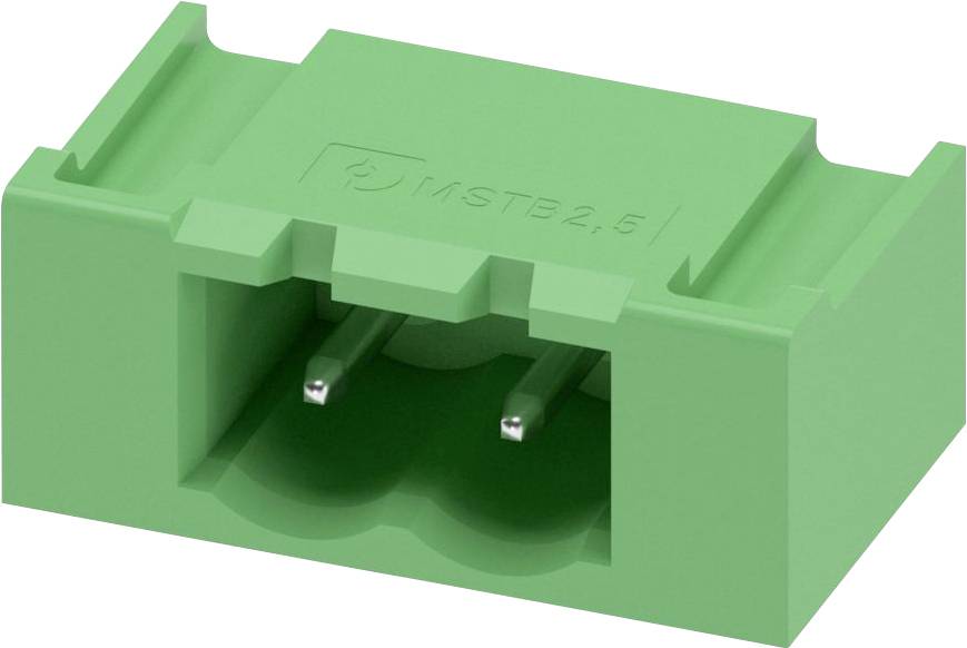 Ein grüner Plastik-Terminalblock mit zwei Metallstiften, beschriftet mit „MSTB 2.5