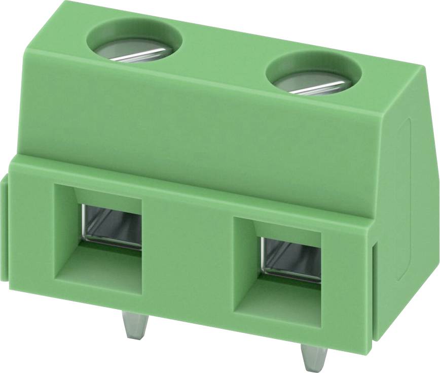Ein grüner Zweipol-Schraubklemmenblock, der zur Sicherung von Drahtverbindungen in elektronischen und elektrischen Anwendungen verwendet wird.