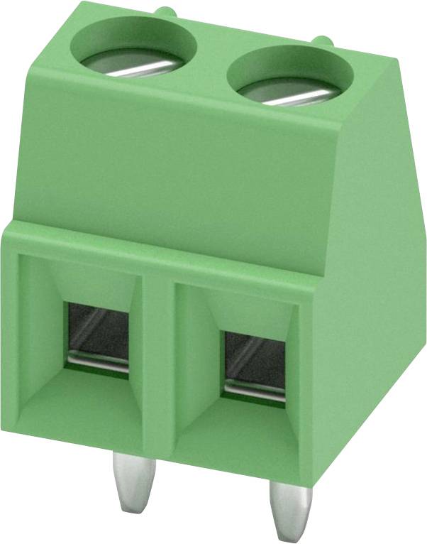 Ein grüner, zweipoliger Schraubklemmenblock mit zwei kreisrunden Öffnungen oben und zwei Metallstiften unten für elektrische Verbindungen.