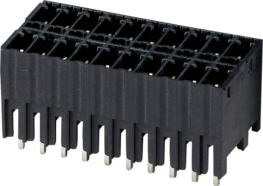 Ein schwarzer 20-poliger Anschluss mit vertikalen Schlitzen, entwickelt für elektronische Geräte-Schnittstellen.