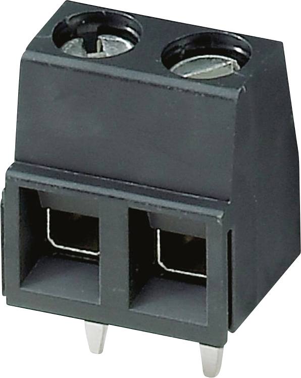 Ein schwarzer Zwei-Pin-Elektroverbinder mit Metallkontakten, der zum sicheren Anschluss von Drähten in elektronischen Geräten verwendet wird.